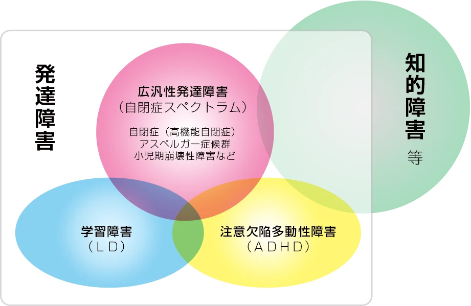 発達障害・知的障害の分類（広汎性発達障害・学習障害LD・注意欠陥多動性障害ADHD）