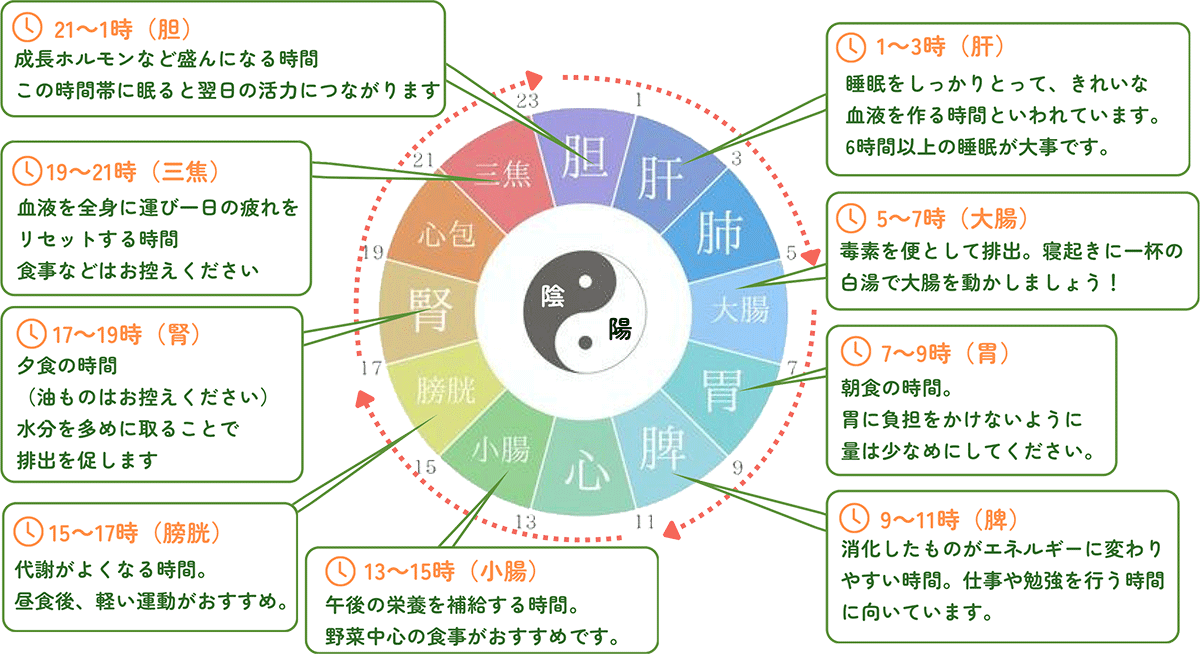 子午流注の画像