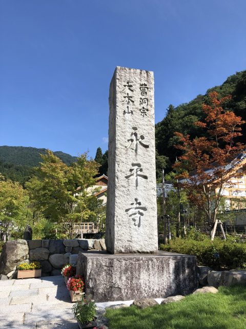 スタッフブログ パーキンソン病や脊髄小脳変性症の治療なら大阪の 堂島針灸接骨院 スタッフブログ パーキンソン病や脊髄小脳変性症の治療なら大阪の 堂島針灸接骨院